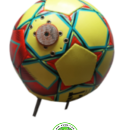 Ballon Boxer